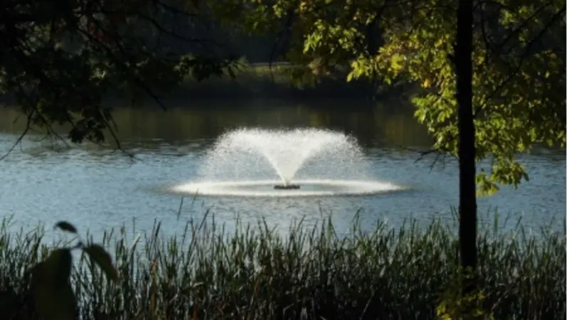 Large Ponds