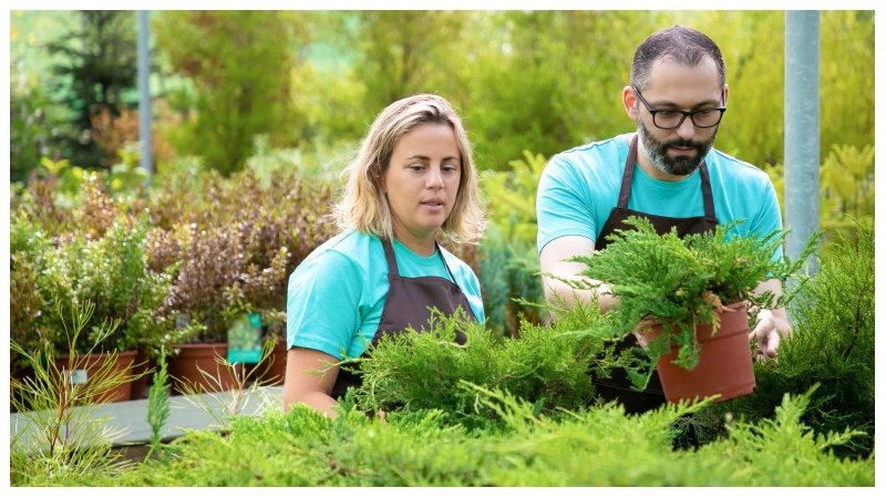 Commercial Landscaping Easier