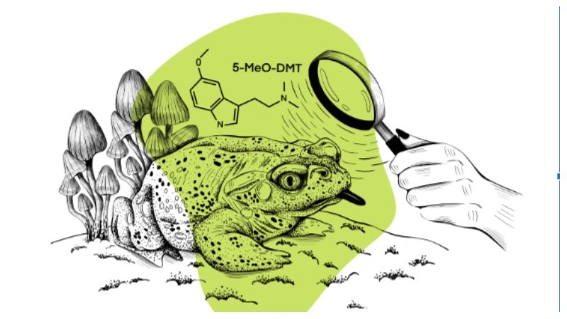 5-MeO-DMT