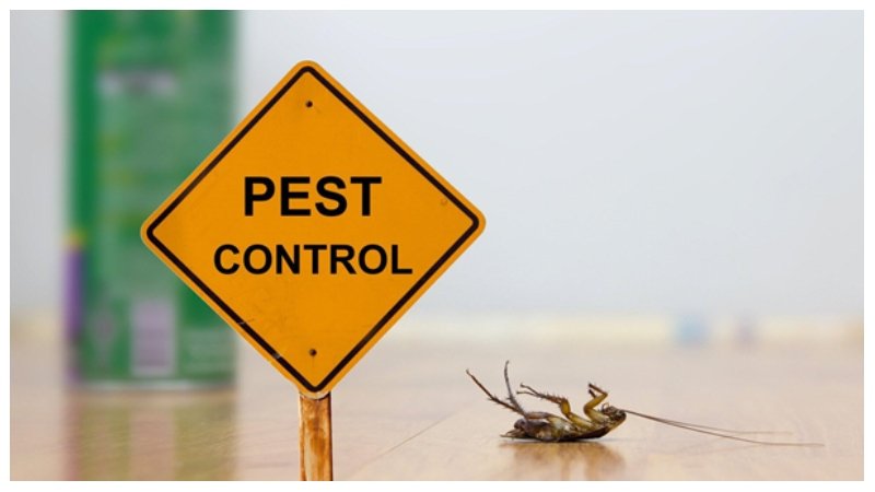 pest control