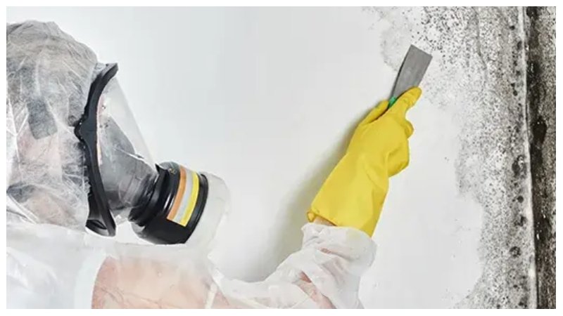 How Long Does Mold Remediation Take