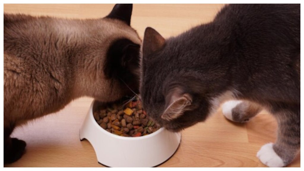 Healthy Food and Grooming as the Cornerstones of Pet Wellness